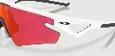 5.webp