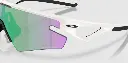 5.webp